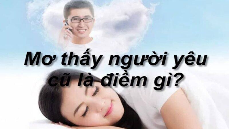 Mơ thấy người yêu cũ đánh con gì? Điềm báo ra sao?